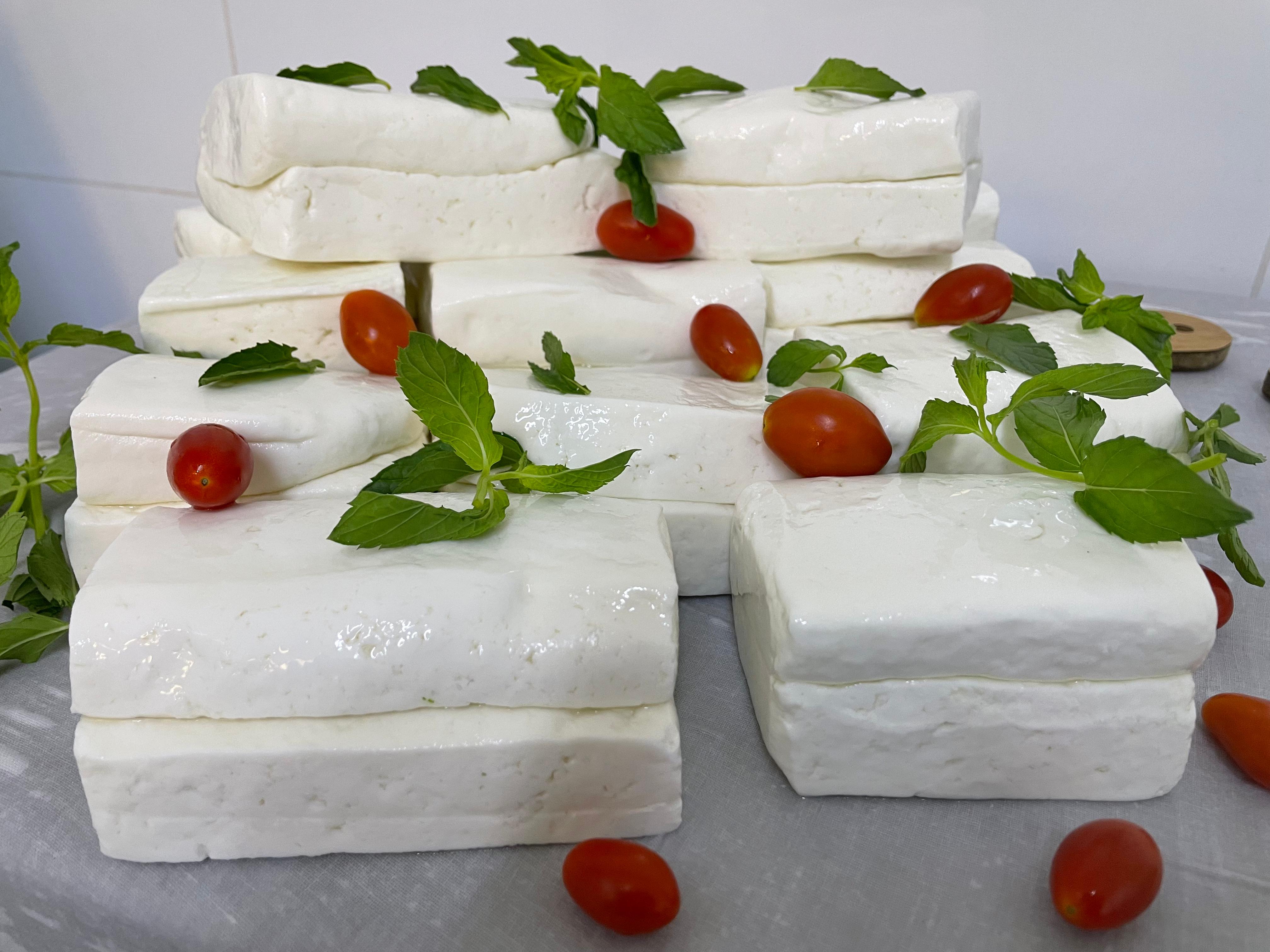 جبنة حلوم طبق للشوي