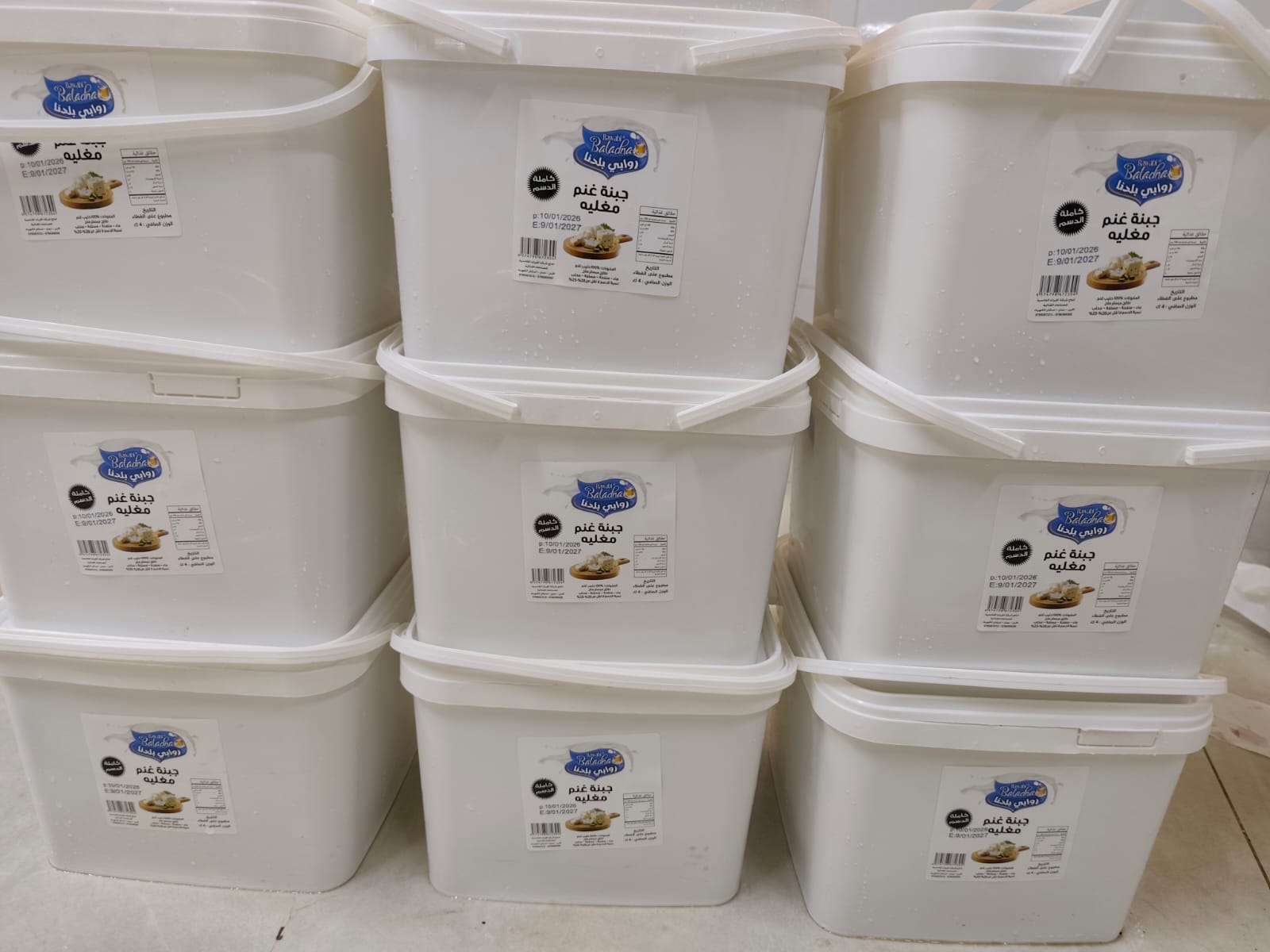 Boiled Sheeps Cheese - 2